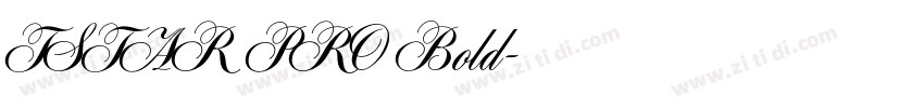 TSTAR PRO Bold字体转换